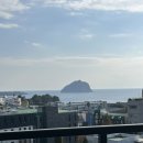 빨간모자달팽이 이미지