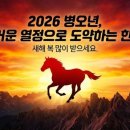 자영스포츠