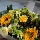 마샬미용실 이미지