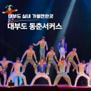 추억의 동춘서커스 | 안산 대부도 놀거리 아이와 실내 가볼만한곳 동춘서커스