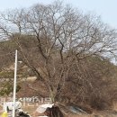 구구2리 이미지