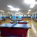 개방탁구 이미지