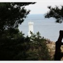 하조대해변 이미지