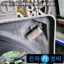 구미라지에타 이미지
