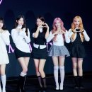 트리플크라운 네이버블로그