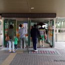 장미꽃길 1 이미지