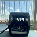 사계절 애견 켄넬 이미지