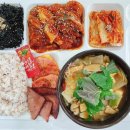 커피밥나무 이미지