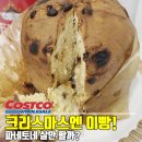 파네토네 | 크리스마스에 이 빵을 먹는 이유, 코스트코 파네토네 솔직 후기