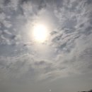 광창 Daum카페