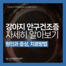 우리동물메디컬센터 이미지