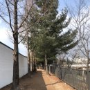 부용로 네이버블로그