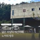 사천 가볼만한 곳 , 넓은 마당의 애견카페 노아의방주 내돈내산 솔직후기