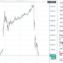 요즘 핫한 미국주식 테슬라(Tsla) 주가 상황 이미지