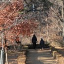 벌등공원 이미지