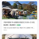 캠크닉! 코알라 캠핑장 내 돈 내산 찐 후기~!!!