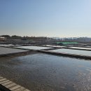 갯골안1 이미지