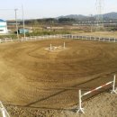 말달리자승마클럽