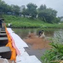 탄동천-1 이미지