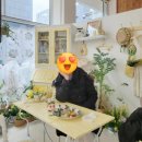 리더옷수선 | 버버리패딩 디테처블 후드 다운필드 코트 수선후기