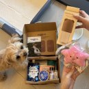 이터널블루 | 부산 송도해수욕장 반려견 동반 숙소 추천｜오션뷰 “이터널블루 풀빌라”웨이브룸 1박 후기