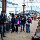 삼삼오오농장 이미지