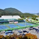 공설운동장 다목적경기장(체육경기) 세계일보
