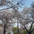 송백농장 이미지