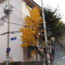 청구빌라앞 이미지