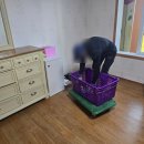 삼성익스프레스 이미지