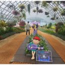 멍석 민박 이미지