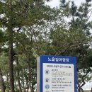 낙지공원 노을길야영장 무인카페 | 무안 노을길 야영장가성비 최고 캠핑장 카라반