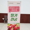 바람개비 딸기학교 이미지