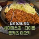 아오끼 | [도쿄] 하마마쓰초 다이몬역 현지인 인기 맛집 돈카츠 아오키 추천 후기