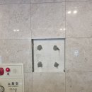 에이치와이에이치 이미지