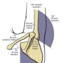 노블레스짐 이미지