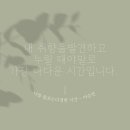 우디마마