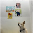 더, 빛나개 이미지