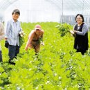 다라미자운영마을 이미지