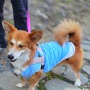 울산광역시 남구 삼호동 행정복지센터 | 울산 남구 벚꽃축제 무거천 궁거랑 야경 실시간 상황