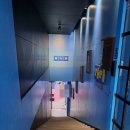 366. [꽃길/강남방탈출] 플레이더월드 강남점 - 두근두근 러브대작전 (두러대)