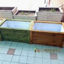 (주)미송조경