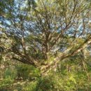 성산농장 | 성산일출봉~주차 정상후기 입장료~세계가 인정한 제주의 자연경치 무지개까지 반겨주더라~