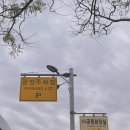 우슬체육관 | 2025해남땅끝 마라톤 대회 완주 후 나주 대표 맛집 하얀집, 행운분식 뿌시기! 내돈내산!