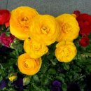 명숙농장 이미지