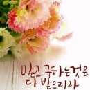 금채샵 이미지