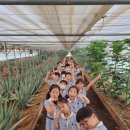 자연해나어린이집 이미지