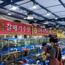 청양갈매기수산 네이버블로그