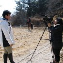 부산(신녕) 이미지