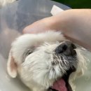 유니독스 이미지